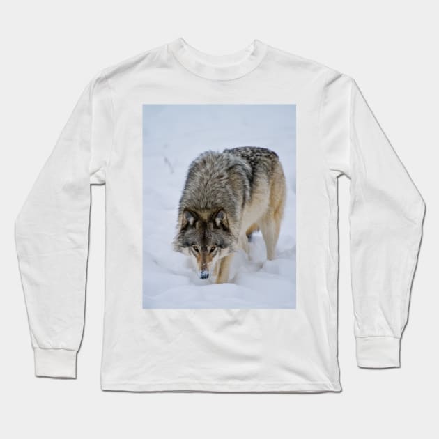 Timber Wolf Long Sleeve T-Shirt by jaydee1400